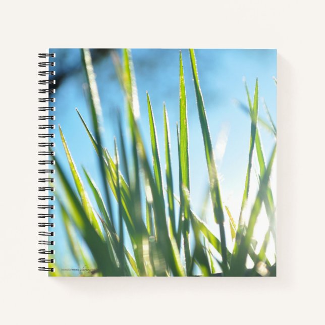 Sunlit Blades Notizbuch (Vorderseite)