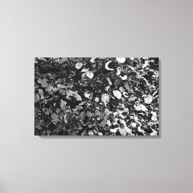 Sunlit Blätter Leinwanddruck (Vorderseite)