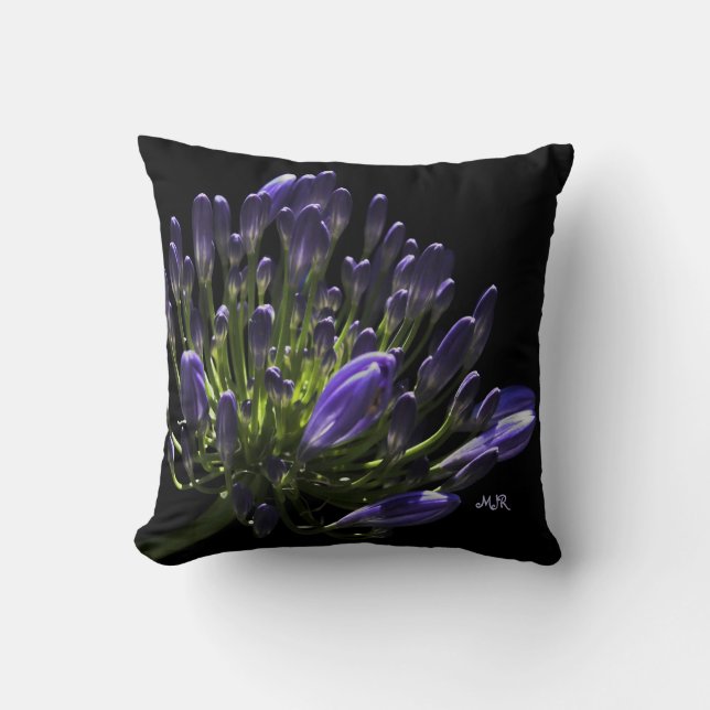 Sunlit Blooming Lila Agapanthus, Afrikanische Lily Kissen (Vorderseite)