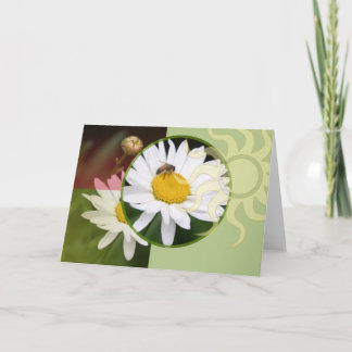 Sunlit Daisy and Bee Karte