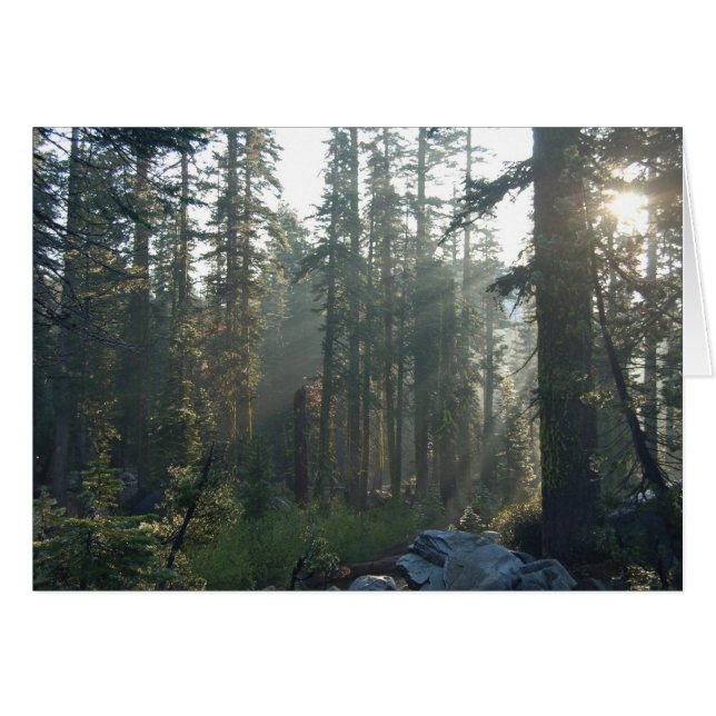 Sunlit Einsamkeit (Vorderseite (Horizontal))