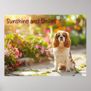 Sunlit Garden Spaziergang: Cavalier King Charles S Poster