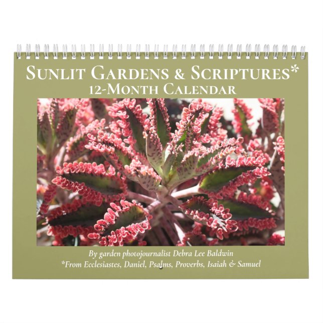 Sunlit Gardens & Scripts Kalender (Titelbild)