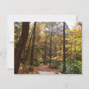 Sunlit Herbstweg im Laurel Hill Staat Park