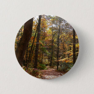 Sunlit Herbstweg im Laurel Hill Staat Park Button