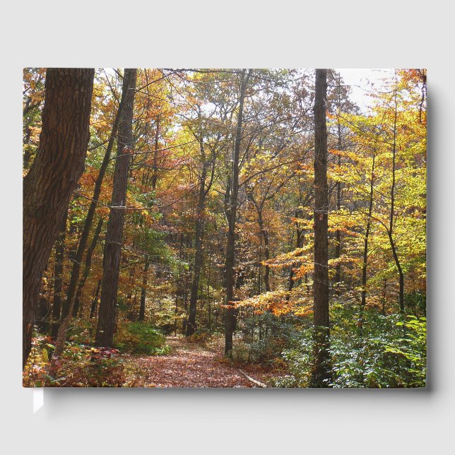 Sunlit Herbstweg im Laurel Hill Staat Park Gästebuch (Vorderseite)