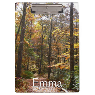 Sunlit Herbstweg im Laurel Hill Staat Park Klemmbrett