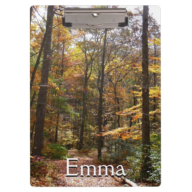 Sunlit Herbstweg im Laurel Hill Staat Park Klemmbrett (Vorderseite)