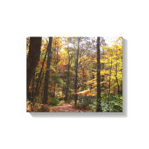 Sunlit Herbstweg im Laurel Hill Staat Park