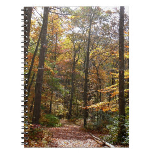 Sunlit Herbstweg im Laurel Hill Staat Park Notizblock