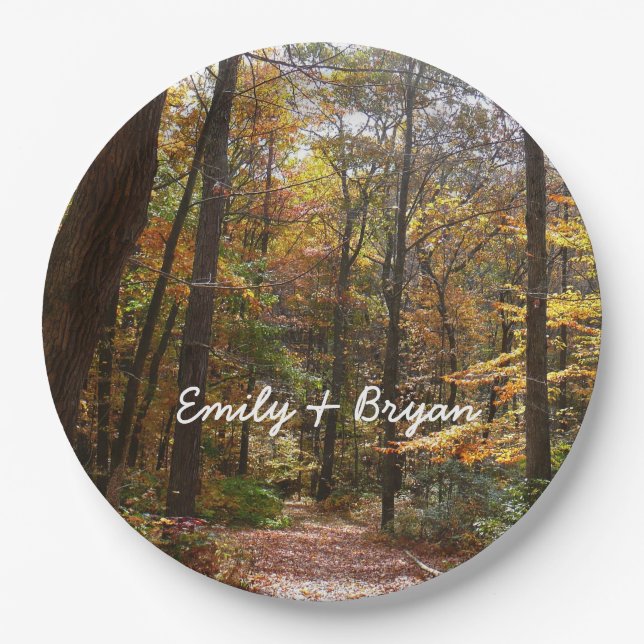 Sunlit Herbstweg im Laurel Hill Staat Park Pappteller (Vorderseite)