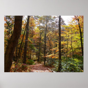 Sunlit Herbstweg im Laurel Hill Staat Park Poster