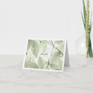 Sunlit leaves in New Hampshire (horizontal) Dankeskarte