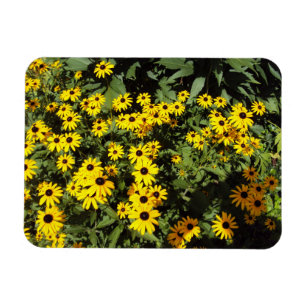Sunlit Meadow Magnet