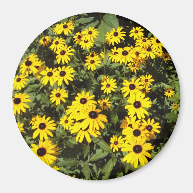 Sunlit Meadow Magnet (Vorne)