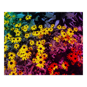 Sunlit Meadow Poster