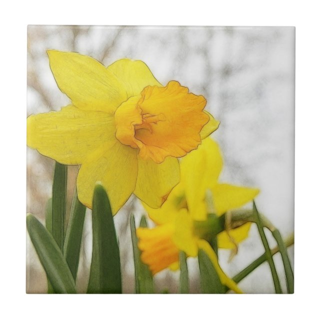 Sunlit Narzissen Fliese (Vorderseite)