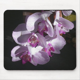 Sunlit Orchideen Mousepad