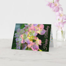 Sunlit Pink Hydrangea Happy Birthday Card