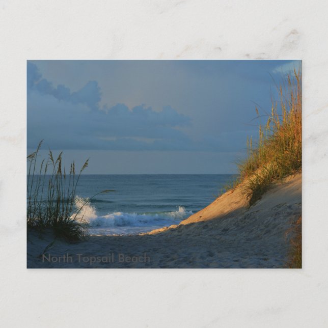 "Sunlit" Postkarte (Vorderseite)