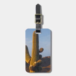 Sunlit Saguaro Cactus Customizable Gepäckanhänger