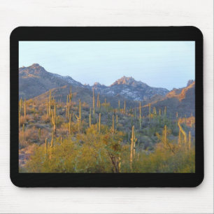 Sunlit Saguaro Field Mousepad