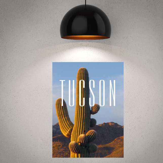 Sunlit Saguaro Tucson Scene Poster (Von Creator hochgeladen)