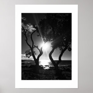 Sunlit Shore Hawaii Schwarz-Weiß-Fotografie Poster
