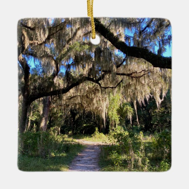 Sunlit Spanish Moss Keramikornament (Vorderseite)