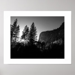 Sunlit Trees Yosemite Black and White Fotografy Poster