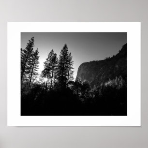 Sunlit Trees Yosemite Black and White Fotografy Poster