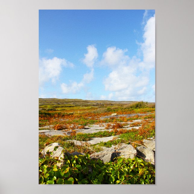 Sunlit View Poster (Vorne)