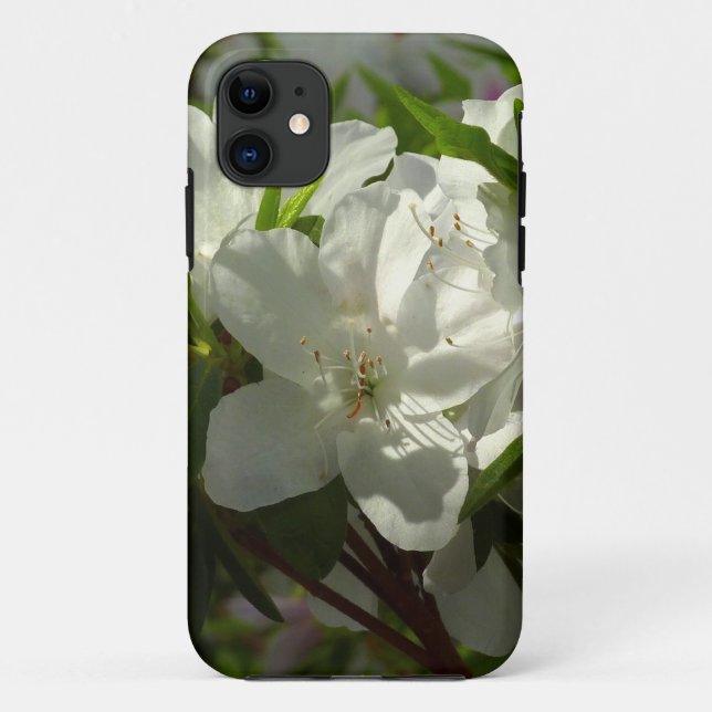 Sunlit White Azaleas Schöne Frühlingsblumen Case-Mate iPhone Hülle (Rückseite)