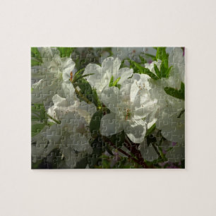 Sunlit White Azaleas Schöne Frühlingsblumen Puzzle
