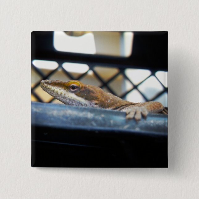 Sunning Green Anole Lizard Foto Button (Vorderseite)
