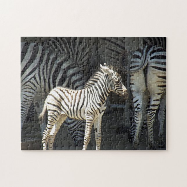 Sunny Baby Zebra Puzzle (Horizontal)