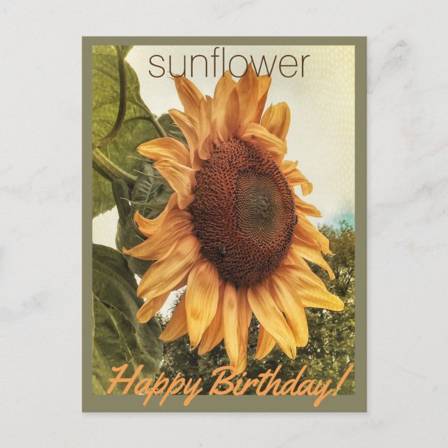 Sunny Birthday wünscht Postcard Postkarte (Vorderseite)