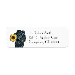 Sunny Black Miniature Poodle