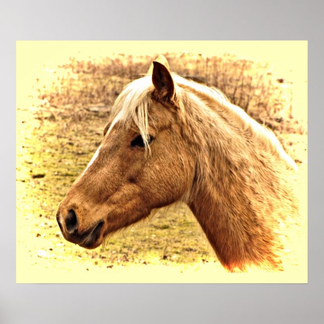 Sunny Blonde und Brown Horse Animal Poster (Vorne)