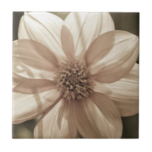 Sunny Dahlia Fliese