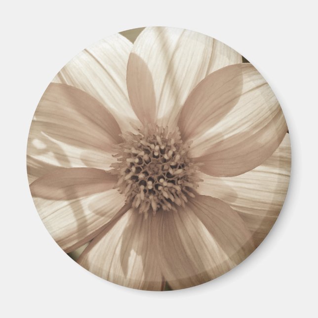 Sunny Dahlia Magnet (Vorne)