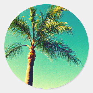 Sunny Florida Palm Tree Sky Picture Runder Aufkleber