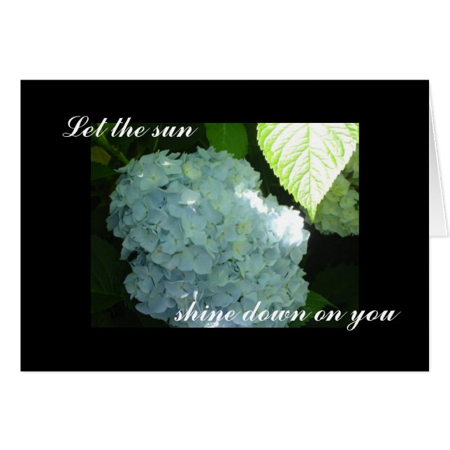 Sunny Hydrangeas Blank (Vorderseite (Horizontal))