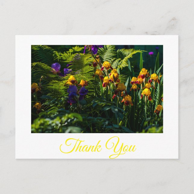 Sunny Iris Blume Garden Danke Postcard Postkarte (Vorderseite)