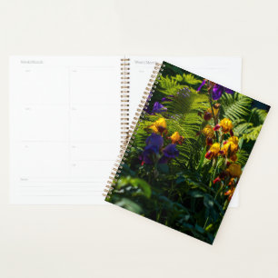 Sunny Iris Blume Garten Pflanze Planer