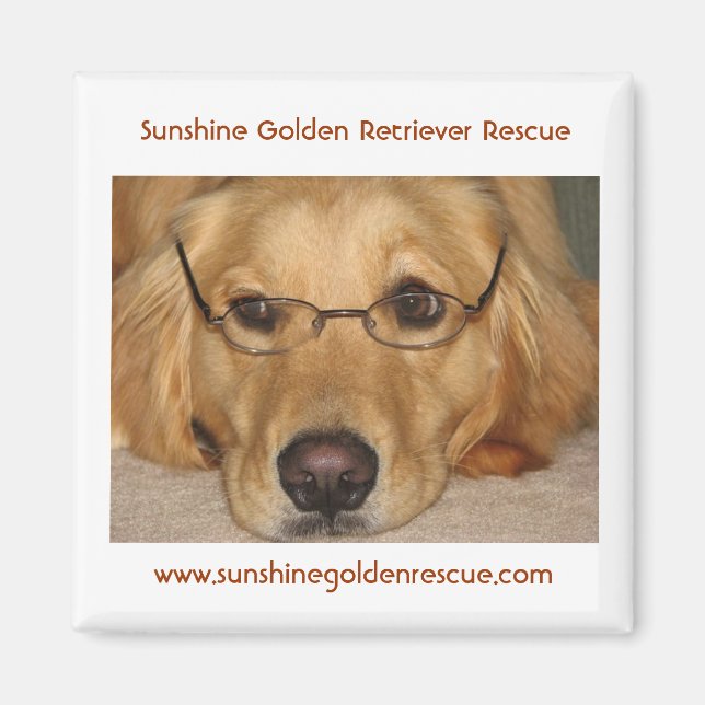 Sunny Magnet - Sunshine Golden Retriever Rescue.. (Vorne)