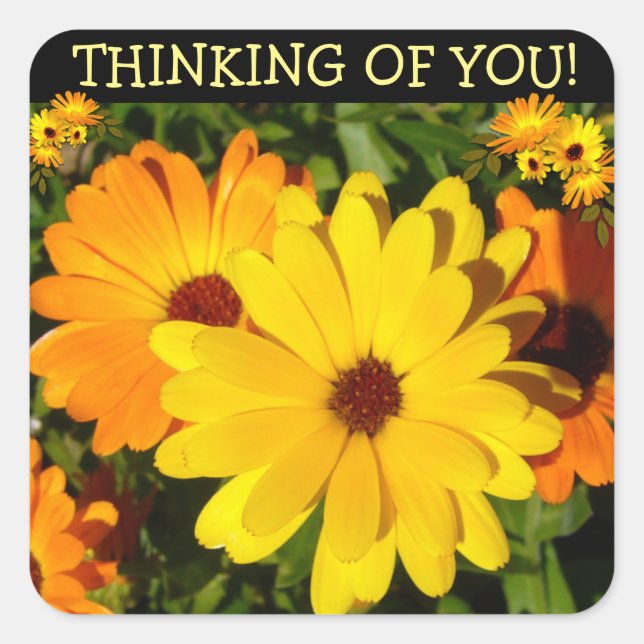 Sunny Marigold Thinking of You Quadratischer Aufkleber (Vorderseite)