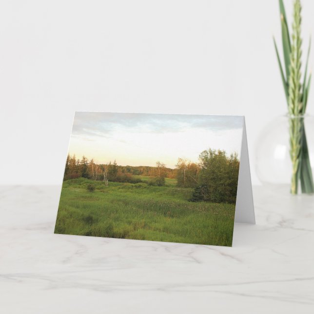 Sunny Meadow Karte (Vorderseite)