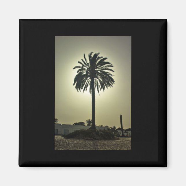 Sunny Palm Magnet (Vorne)