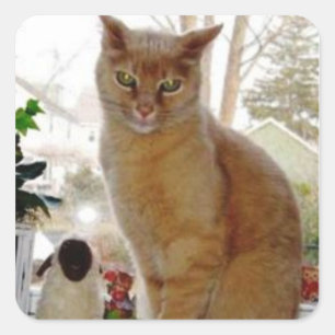 Sunny Papochie Stickers